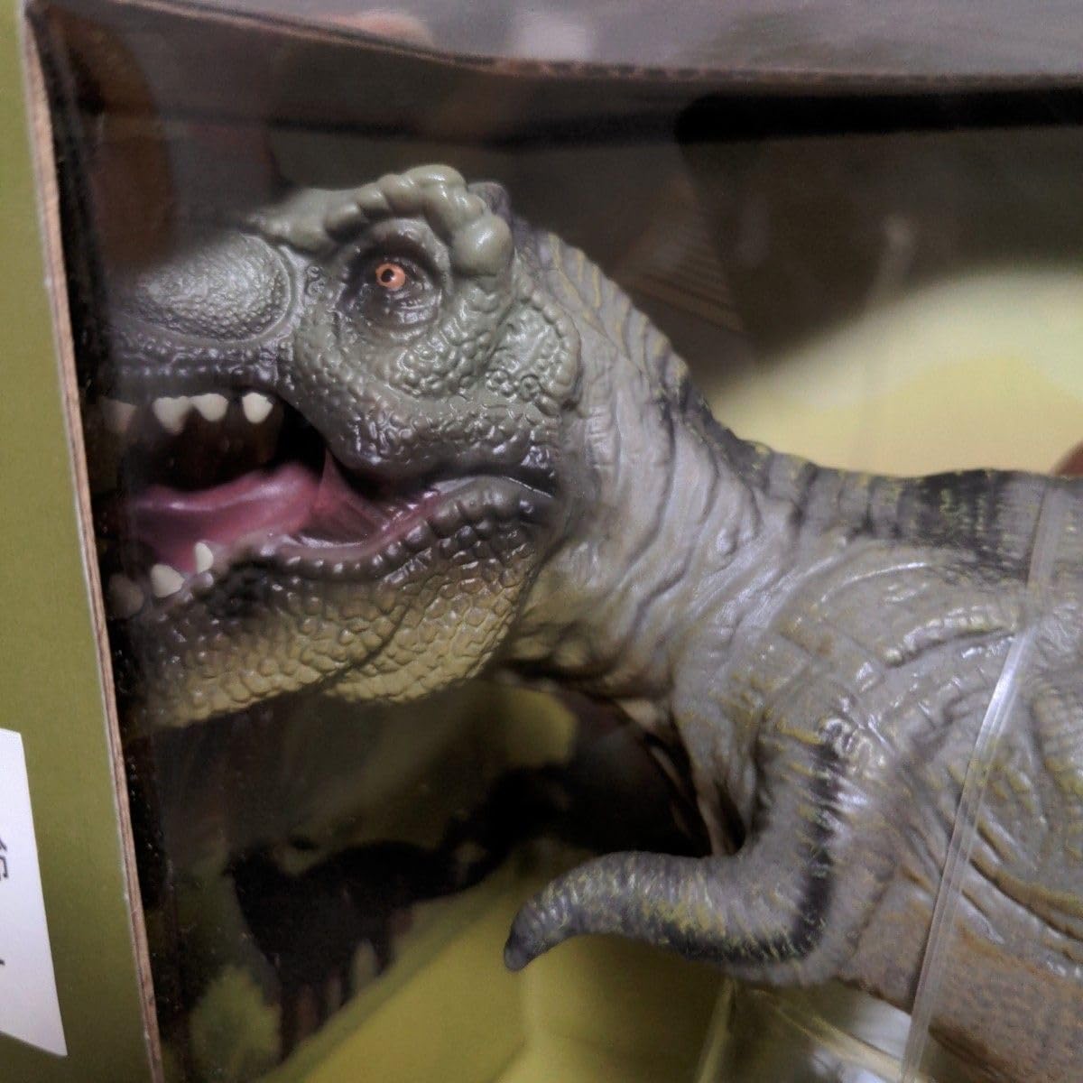 Amazon.co.jp: 恐竜 フィギュア 6点セット Earth Story アンシエント