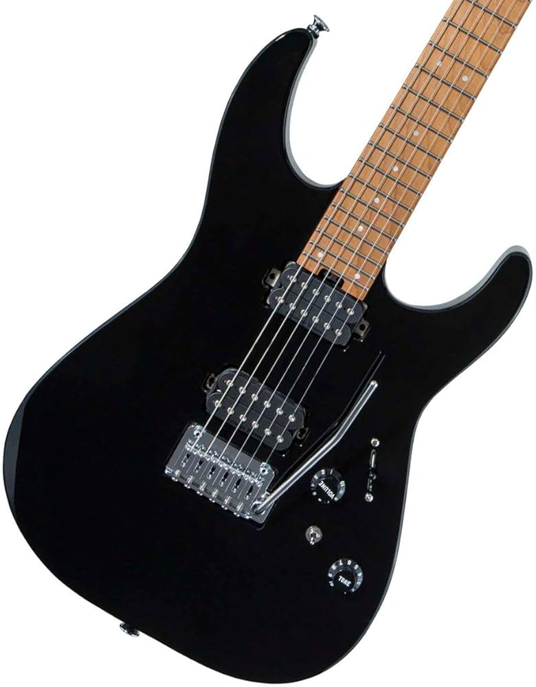 Amazon.com: Charvel Pro-Mod DK24 HH 2PT Electric Guitar - Gloss