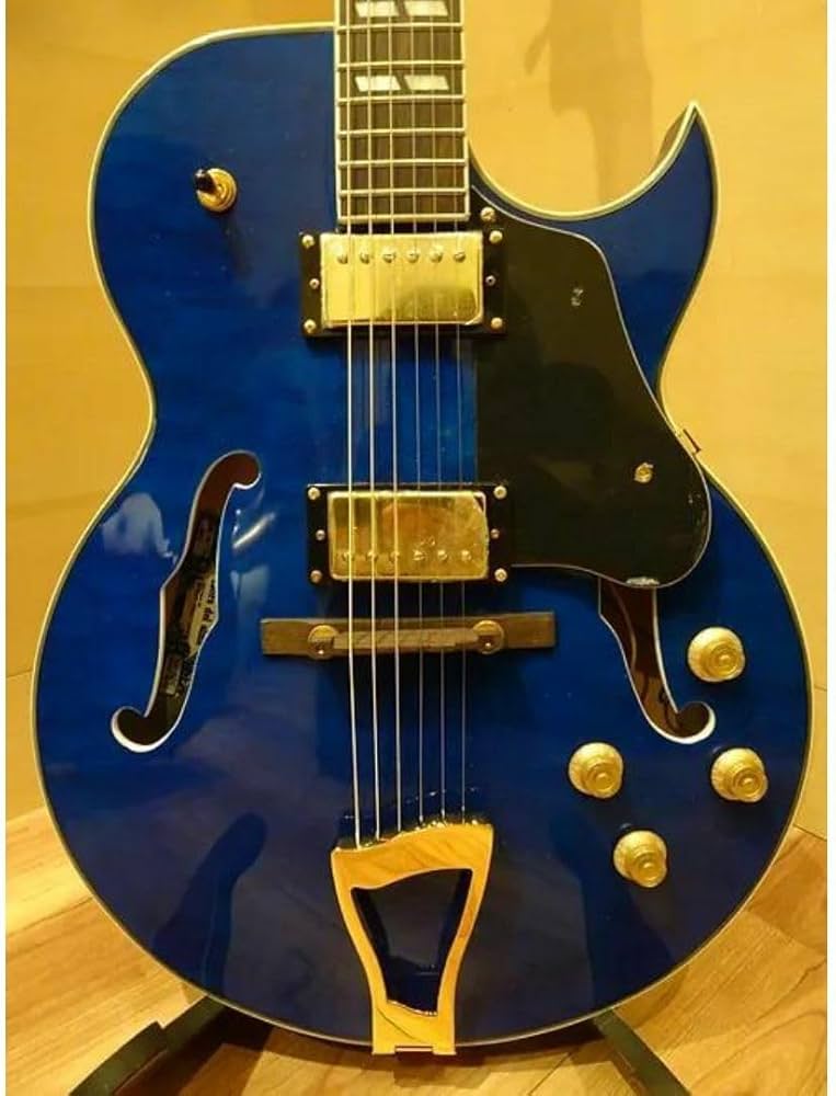 Amazon.co.jp: Del alma Guitars モデルThin Line Jazz : 楽器・音響機器