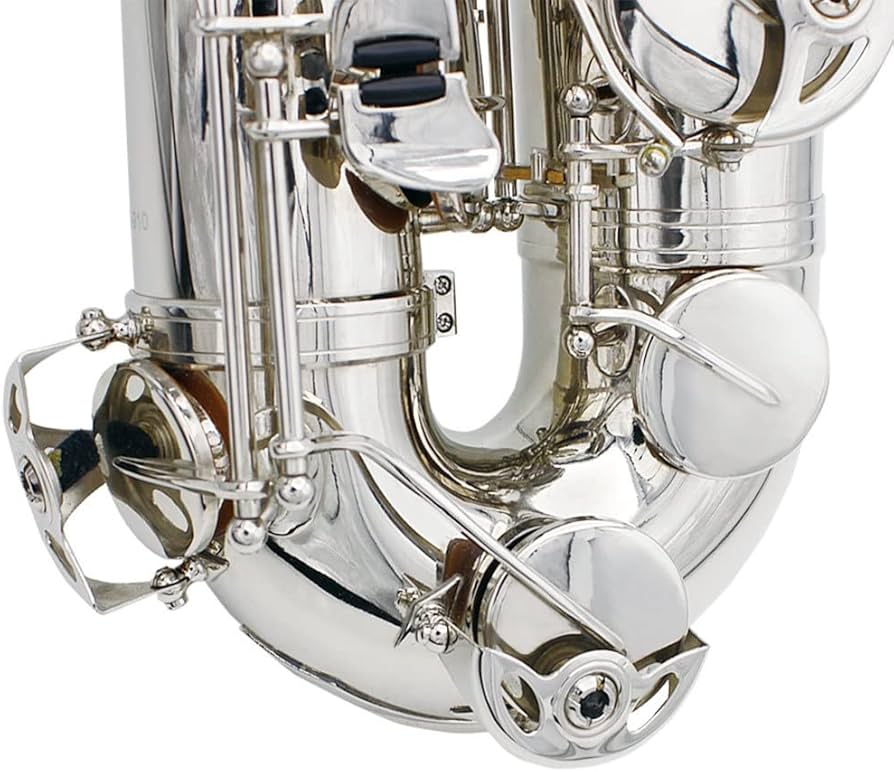 Amazon.co.jp: 初心者 サックス B♭ シルバー テナーサックス テナー