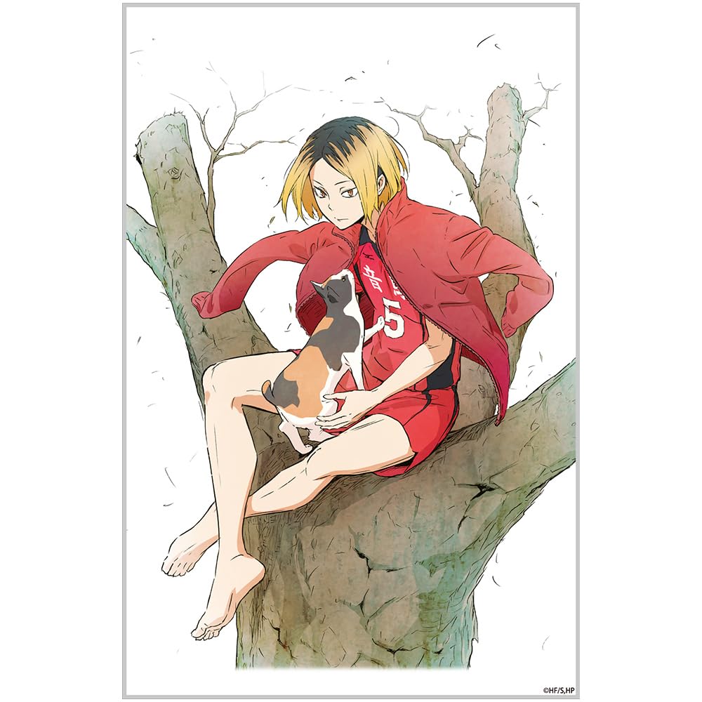 Amazon.co.jp: 【公式】コスパ ハイキュー!! 孤爪研磨 アクリルアート