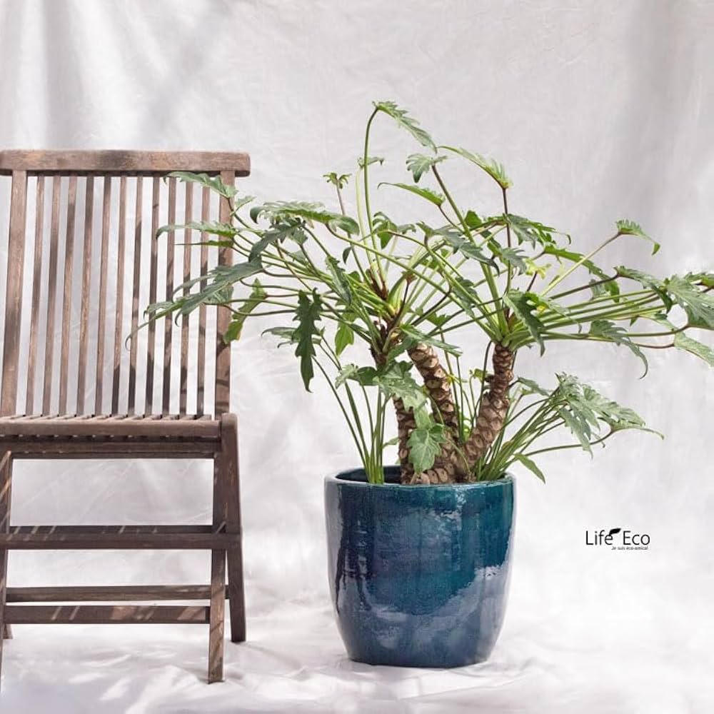 Amazon | 植木鉢 釉薬陶器製 ループ ラウンド ターコイズ（ブルー・青