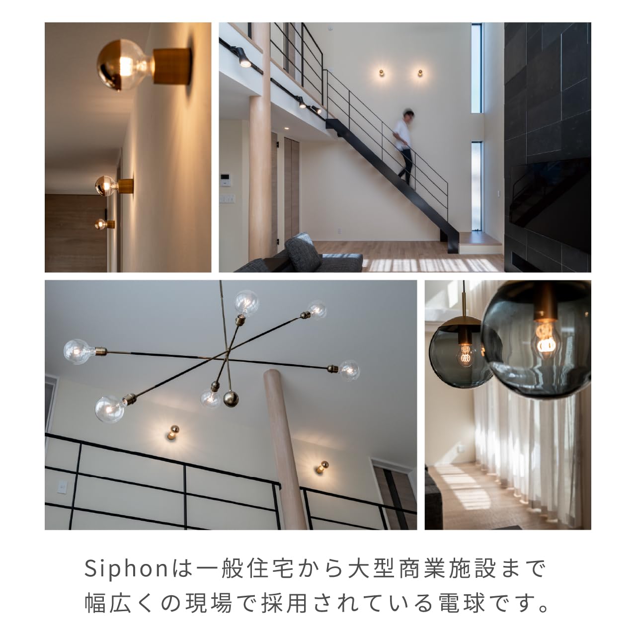 Amazon | 【3年保証 フィラメントLED電球「Siphon」ボール50 フロスト