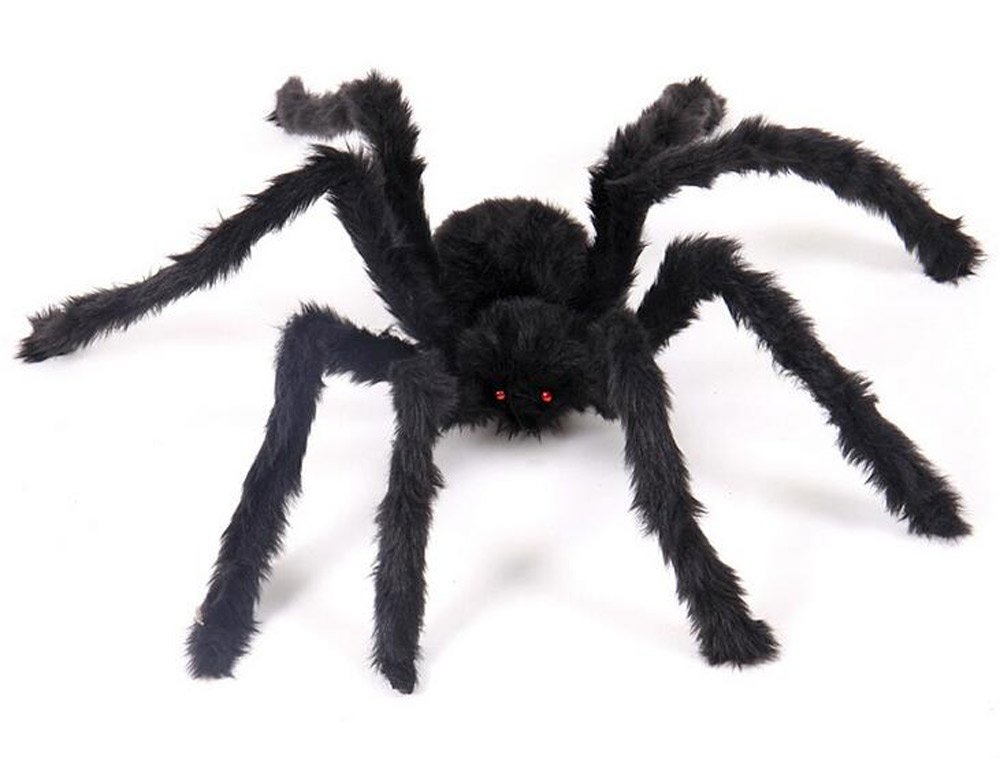 Amazon.co.jp: ふく福 巨大クモ 黒蜘蛛 ぬいぐるみ ハロウィーン