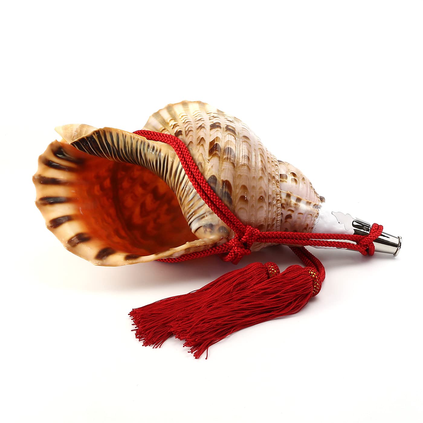 Amazon.co.jp: 伊勢 - 宮忠 - 法螺貝 ほら貝 楽器 笛 歌口付き 真言宗