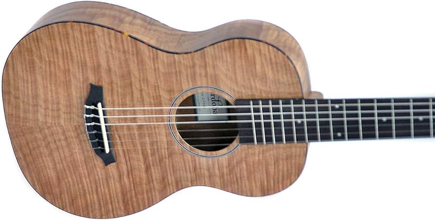 Amazon | CORDOBA (コルドバ) ミニクラシックギター（ミニガット