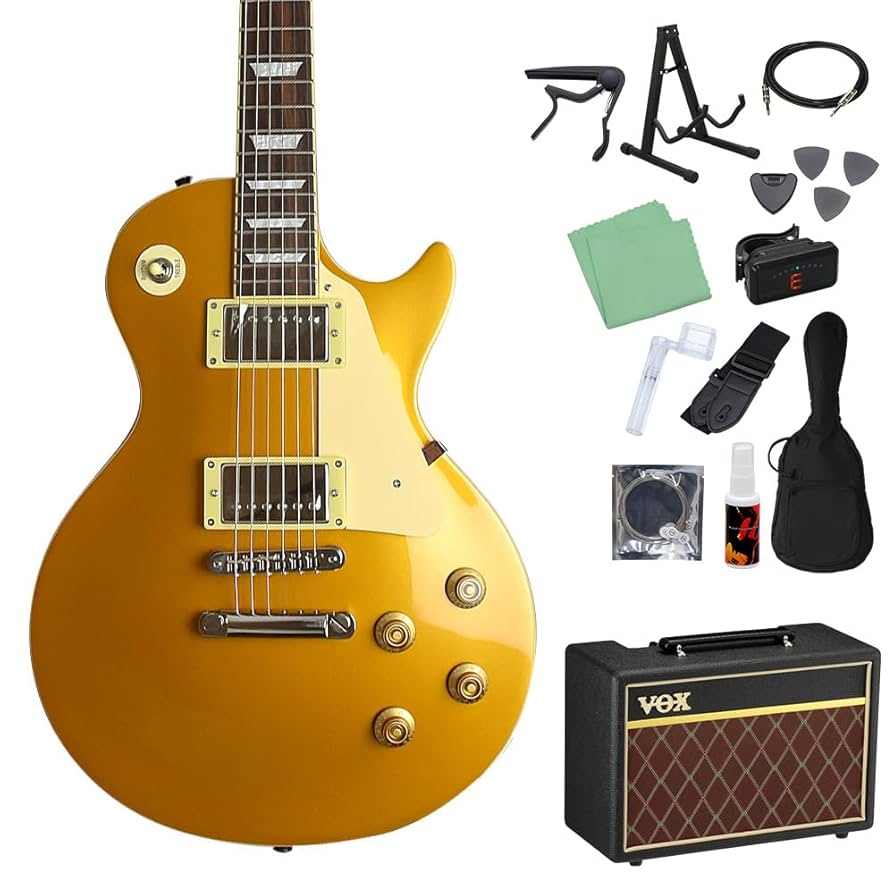 Burny SRLG-55 レスポール トラ目 フェルナンデス