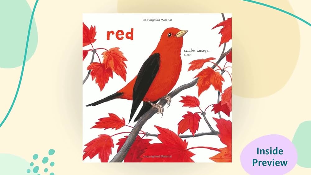 Amazon.com: Baby's First Book of Birds & Colors: 9781580897426