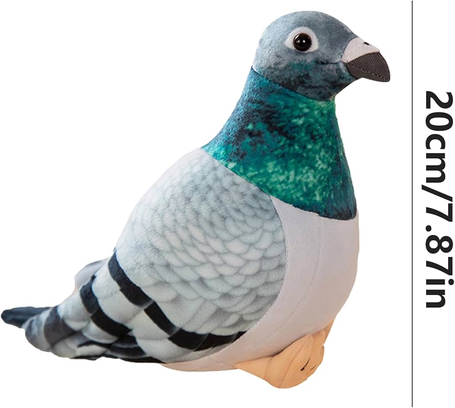 Amazon.co.jp: 鳩のぬいぐるみ、ハトぬいぐるみ 、シミュレーション鳩
