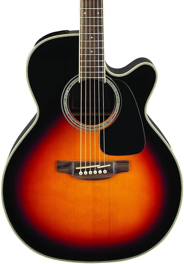 Amazon | Takamine タカミネ G Series GN51CE NEX Cutaway エレアコ