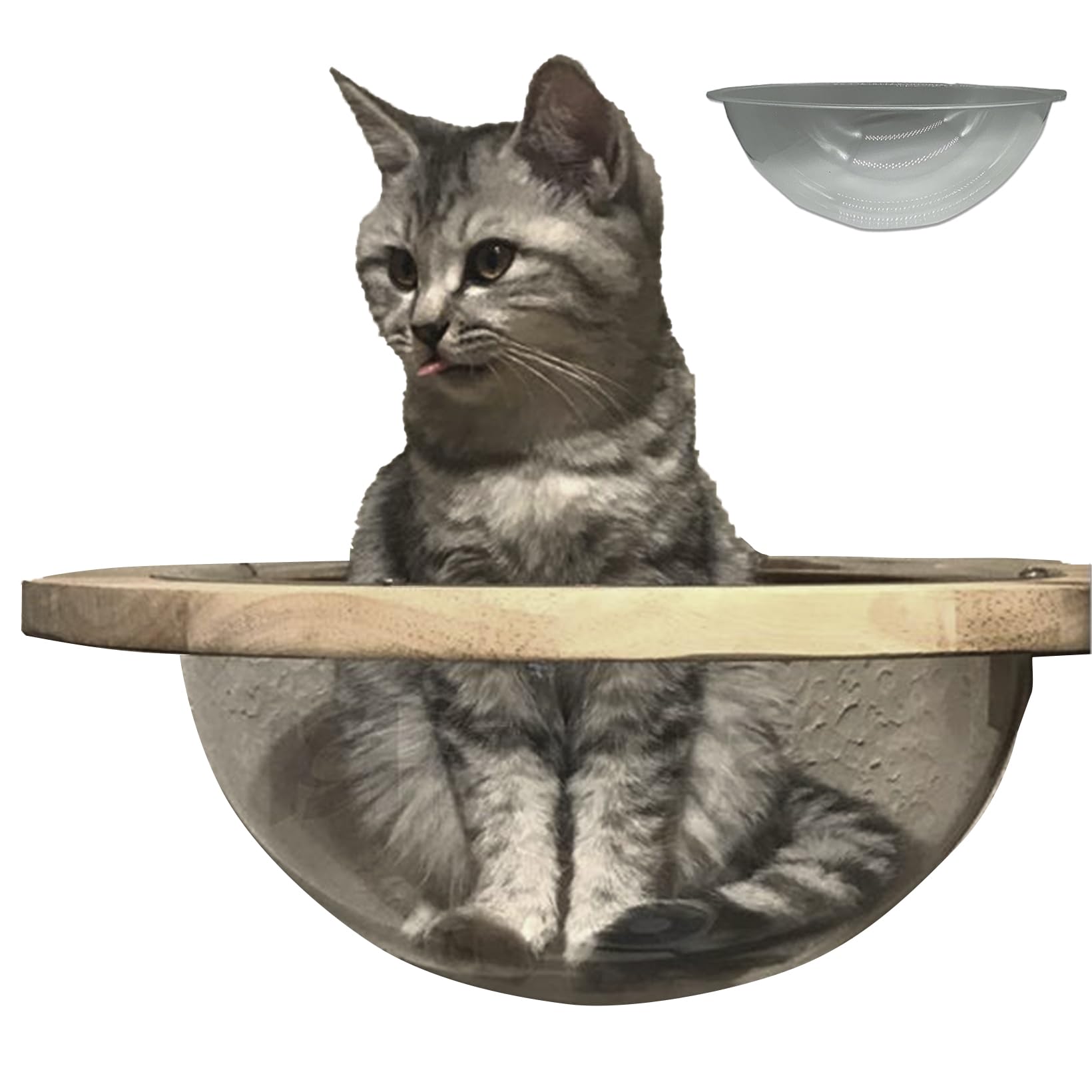 Amazon.co.jp: スタートサイド キャットドーム ハウス キャットクリア