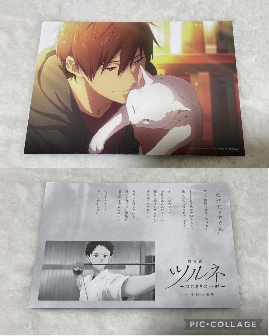 Amazon.co.jp: ツルネ 劇場版 はじまりの一射 ポエトリーカード 小野木