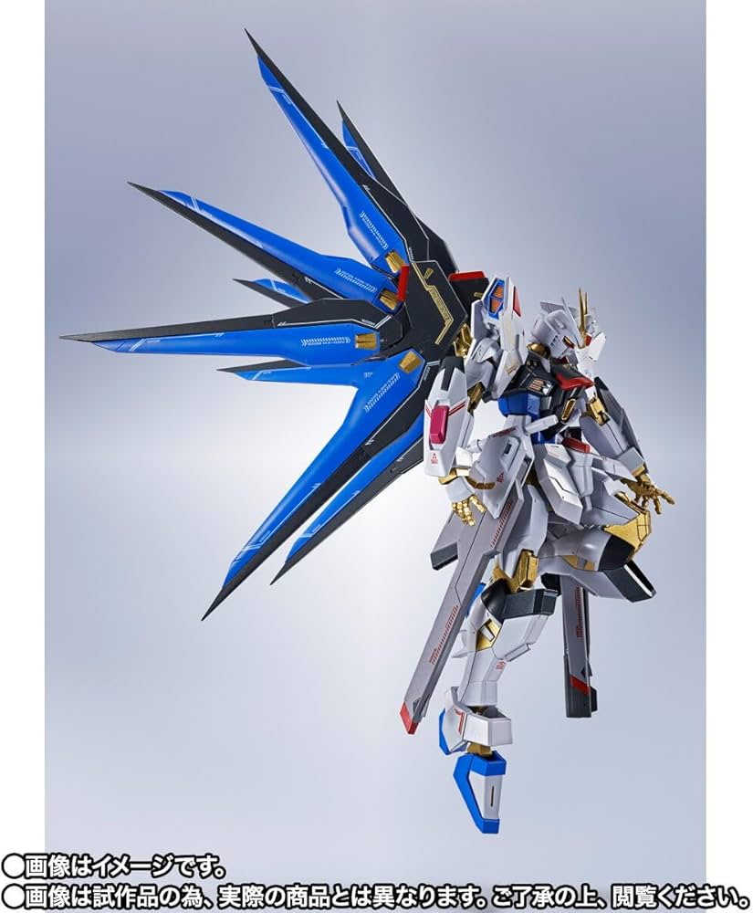 Amazon.co.jp: METAL ROBOT魂 ＜SIDE MS＞ ストライクフリーダムガ