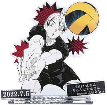 61LrTY3BZsL._AC_UF350,