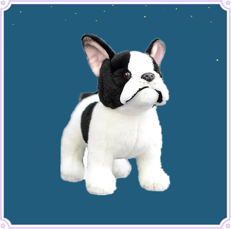 61MFDpMdpGL._AC_UF894,