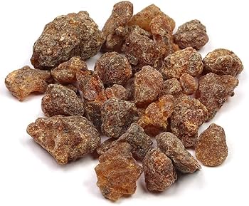 61N94aPdvTL._AC_UF350,