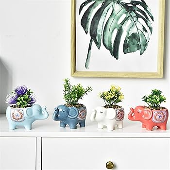 Amazon.co.jp: [dhiuebc] 植木鉢 プランター 可愛い フラワーポット 底