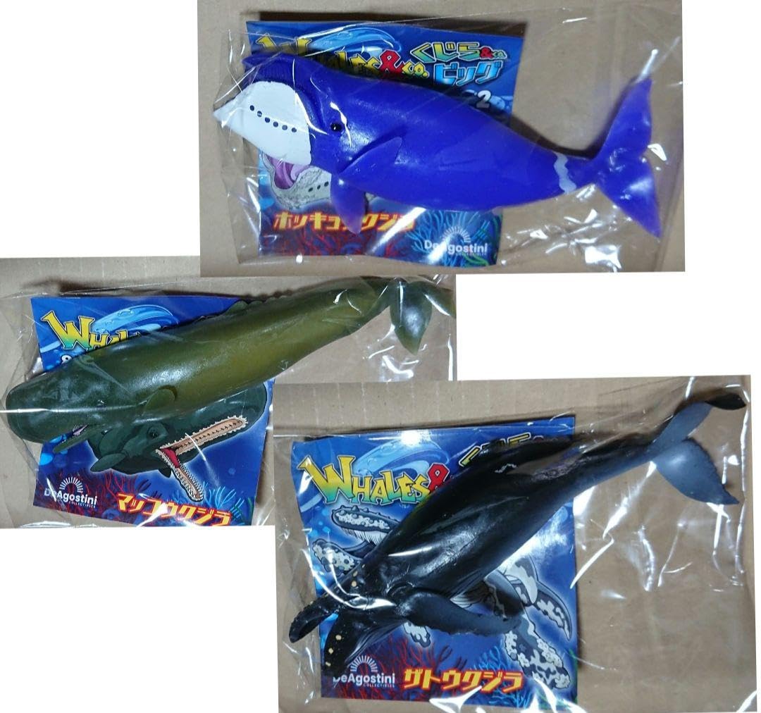 Amazon.co.jp: くじら&CO. マッコウクジラ ザトウクジラ ホッキョク