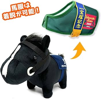 61O3yBS8RqL._AC_UF350,