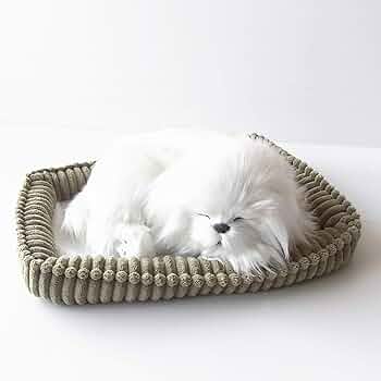 61OH2E9S6EL._AC_UF350,