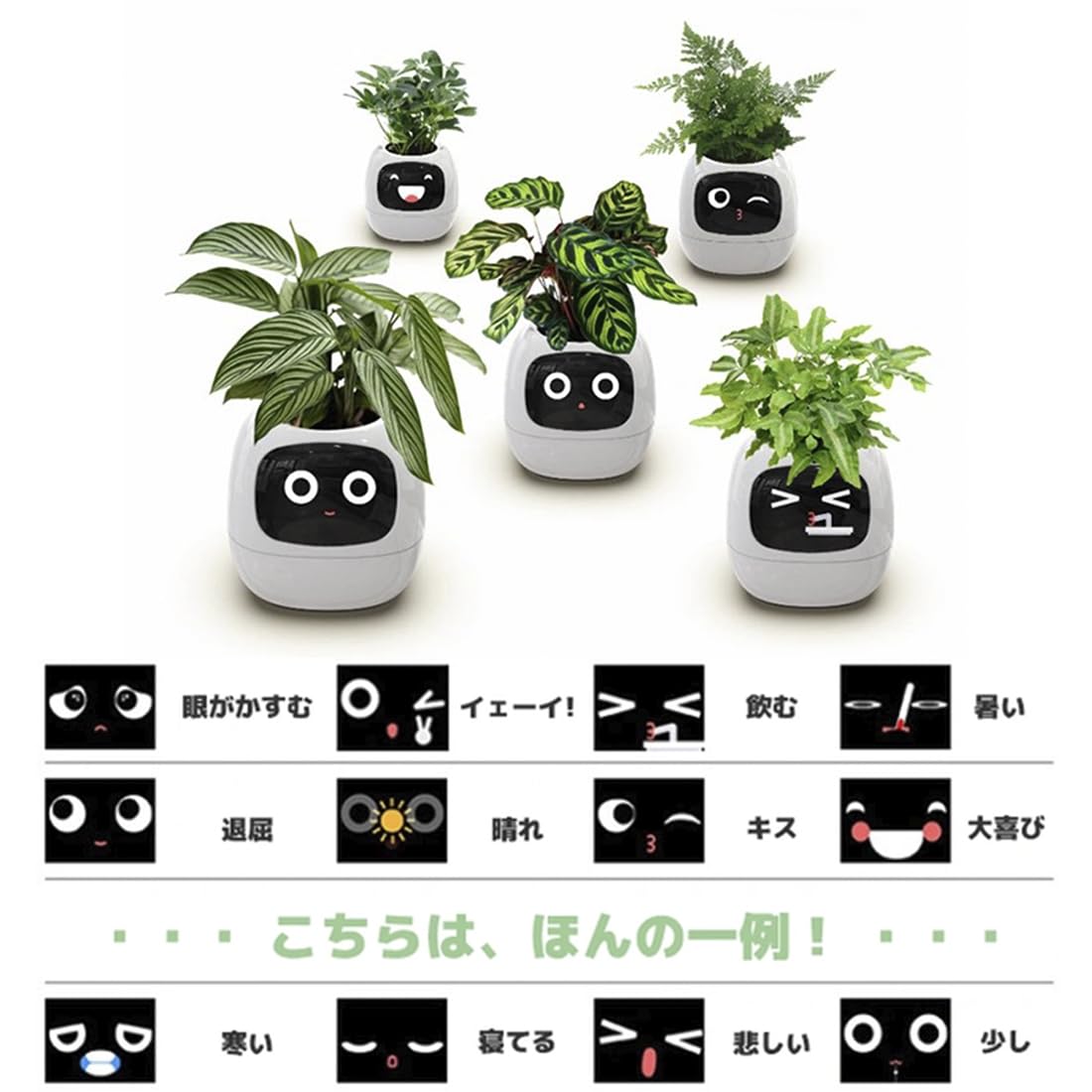 Amazon.co.jp: Ivyスマートプランター スマートホーム機能搭載 観葉