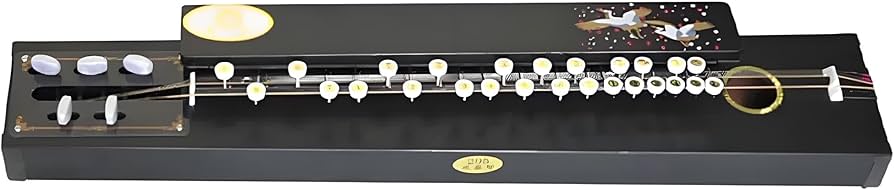 Amazon | SARATASU大正琴 撥弦楽器 付属品：電子チューナー、弦1セット