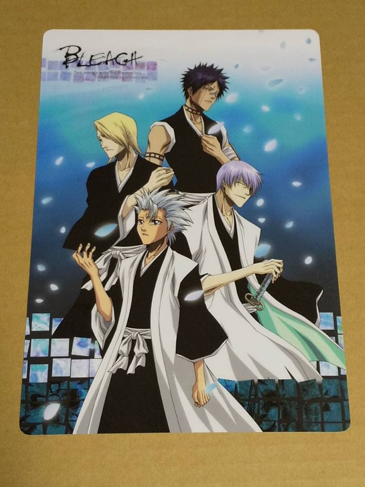 Amazon.co.jp: 下敷き『BLEACH ブリーチ 日番谷冬獅郎 市丸ギン 吉良