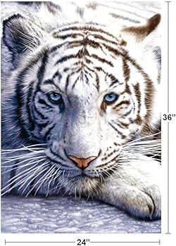 Amazon.co.jp: トライエックス ポスター ホワイトタイガー PP-30282