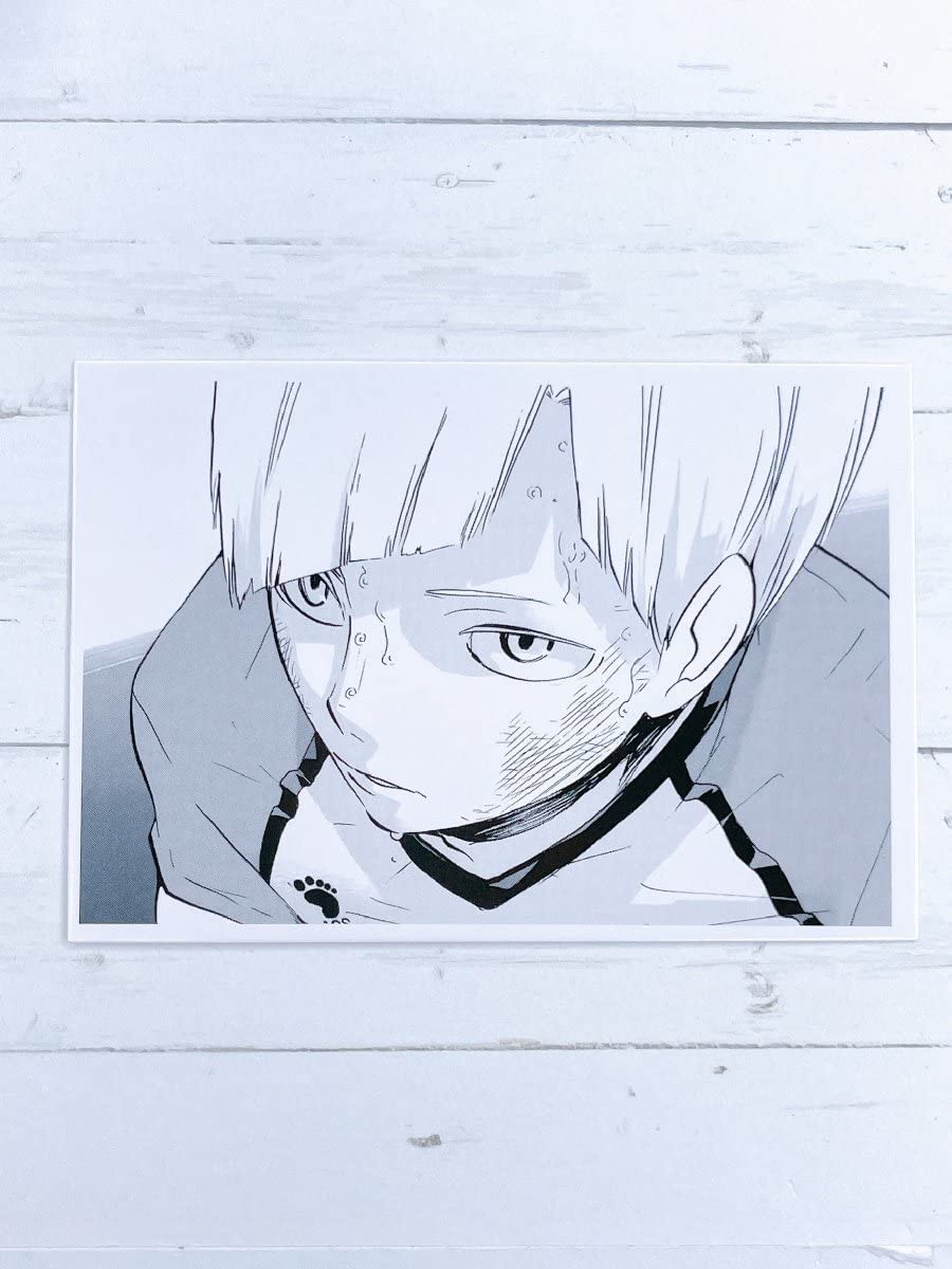 Amazon.co.jp: ハイキュー!! 10thクロニクル 思い出スナップ風フォト