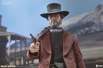 61P4rlifkdL._AC_UF350,