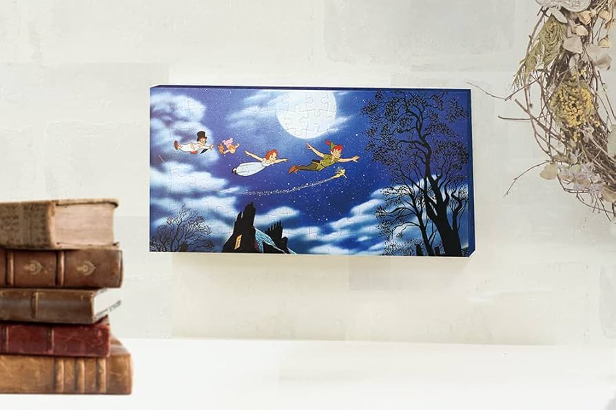 61PZipIR22L._AC_UF894,