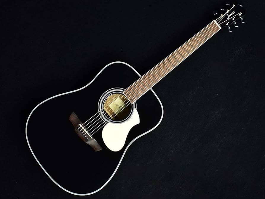 James J-450D/Ova BLK ジェームスエレアコギター James J-450D/Ova BLK