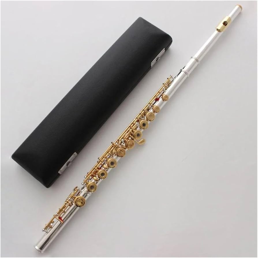 Amazon | 銀メッキフルート 金メッキリッププレート ゴールドキー 17穴