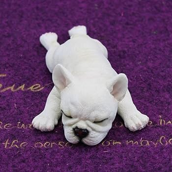 61R2z6MnbSL._AC_UF350,