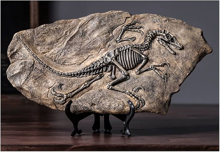 Amazon.co.jp: 恐竜 骨 グッズ 化石 オブジェ 化石標本 置物 レプリカ