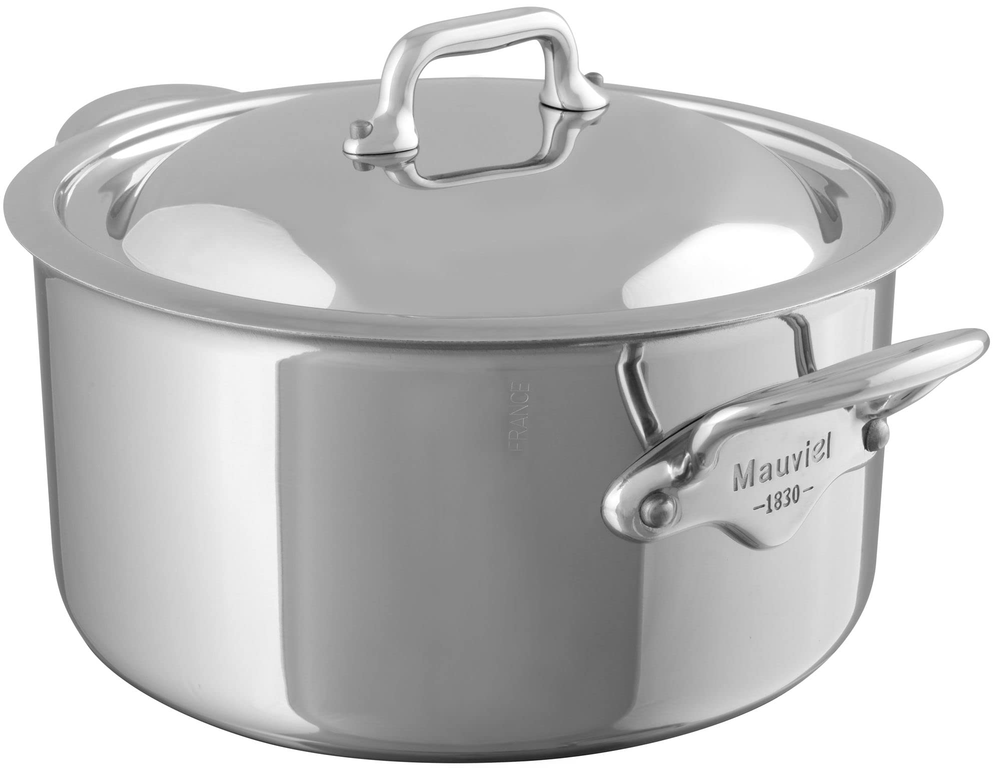 Amazon.com: Mauviel M'Cook 5-Ply Polished Stainless Steel Stewpan