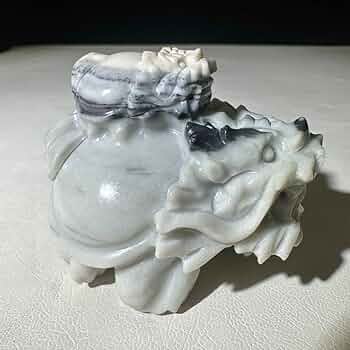 61RaLyJ18zL._AC_UF350,