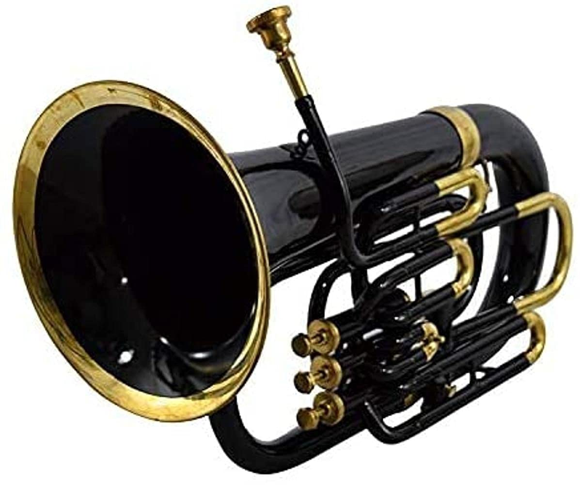 Amazon.com: Nasir Ali Bb Euphonium Black 4 Valve : Musical Instruments