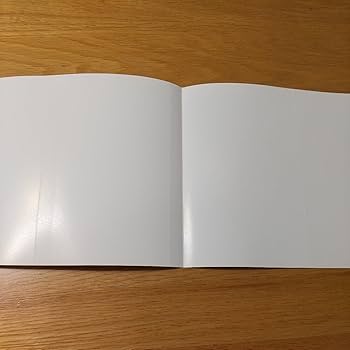 Amazon.co.jp: ダンダダン ブックカバー 購入特典 本カバー イラスト