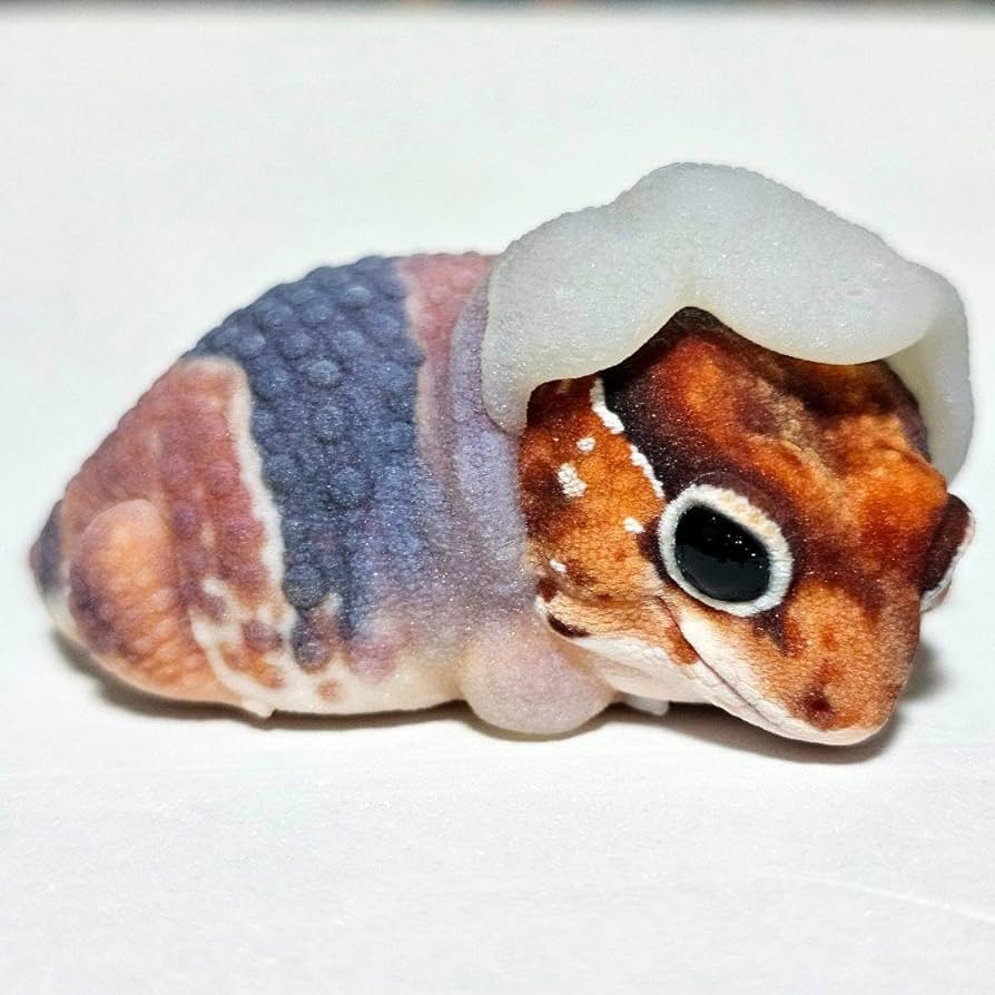 Amazon.co.jp: 動物の惑星 ニシアフリカトカゲモドキ脱皮 抖音限定