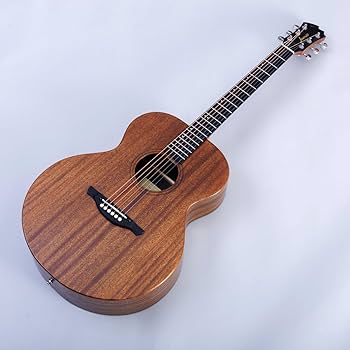 Amazon | James J-300S SNT アコースティックギター トップ単板 簡単弦