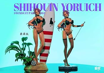 61S2Ha-IGhL._AC_UF350,