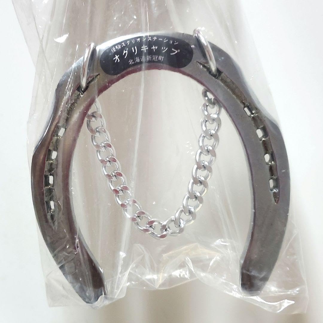 Amazon.co.jp: オグリキャップ 蹄鉄 壁掛け 優駿スタリオン