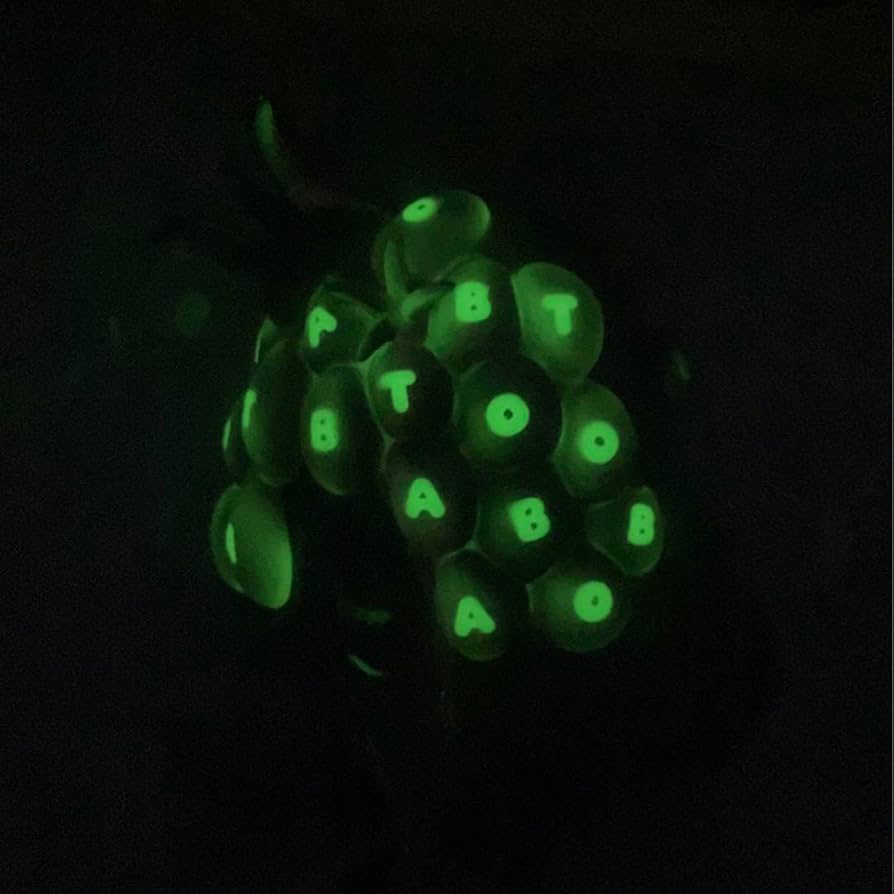 Amazon.co.jp: 一休 Design 妖塊 E.ムランジーニョ 蓄光 ボタニカル