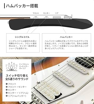Amazon | SELDER セルダー エレキギター ストラトキャスタータイプ