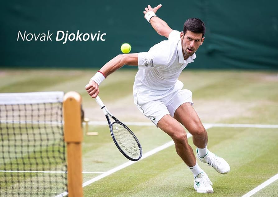 Amazon.co.jp: ノバク ジョコビッチ ポスター 42x30cm テニス 選手