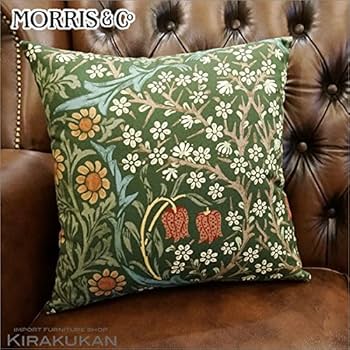 61T62oxVgXL._AC_UF350,