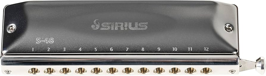 Amazon.com: Suzuki S-48S Sirius Chromatic 12-Hole 48-Note