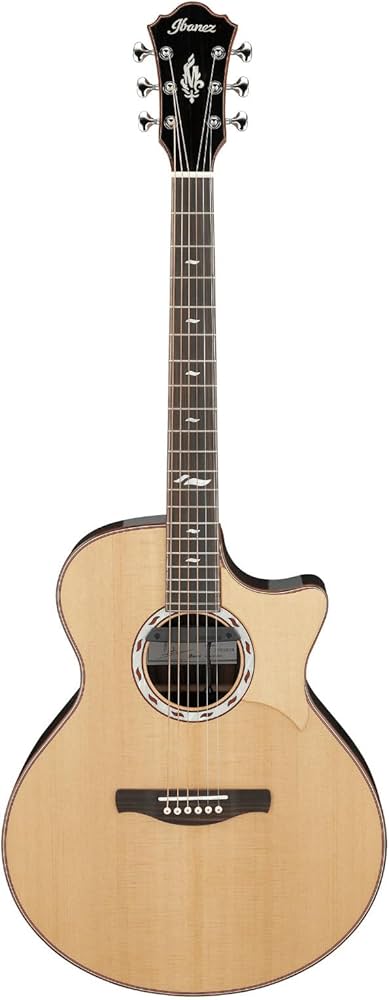 Amazon.com: Ibanez MRC10NT Marcin Patrzalek Signature Acoustic