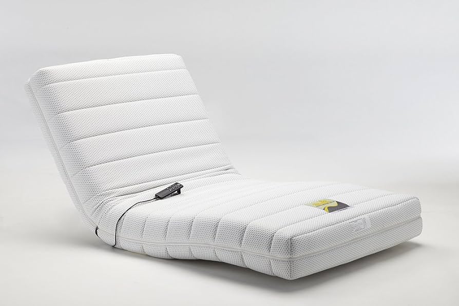 Amazon.co.jp: フランスベッド 電動リクライニングマットレス ルーパー